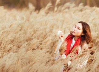 Aparaty lingwalne - co trzeba o nich wiedzieć?