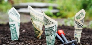 Początki działalności gospodarczej.