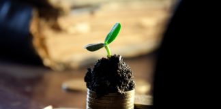 Nasza własna działalność gospodarcza.