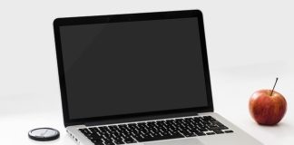 Zanim kupisz lustrzankę