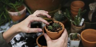 Najatrakcyjniejsze miejsca do budowy domu