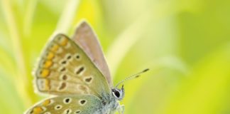 Marzy Ci się piękny ogród, ale nie wiesz jak do tego podejść?