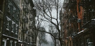 Gdzie i czy warto studiować dziś geodezję?