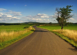 Odpowiednio dopasowane preparaty do roślin