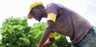 Jakie są rodzaje zapraw murarskich i kiedy należy używać poszczególnych