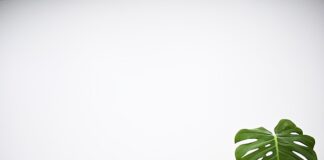 Jakie są najczęstsze problemy związane z montażem i użytkowaniem płyt gipsowo-kartonowych