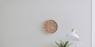 Jakie są najpopularniejsze rodzaje płyt gipsowo-kartonowych