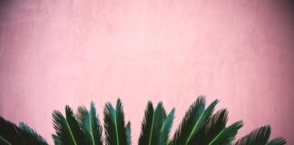 Jakie są sposoby malowania i szpachlowania płyt gipsowo-kartonowych?