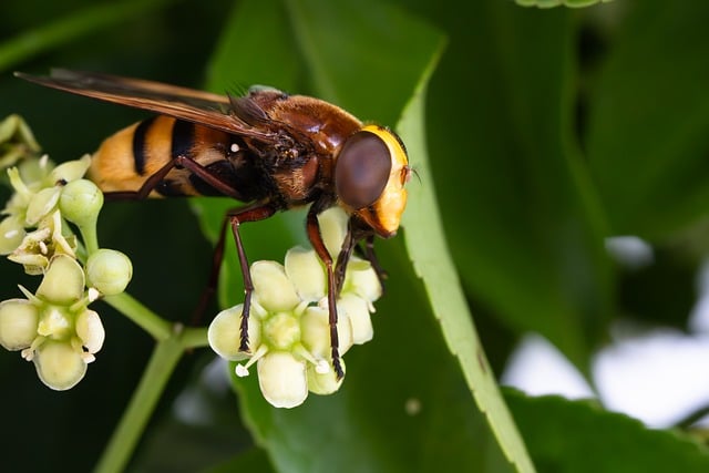 Jak korzystać z zooma na komputerze? Jak korzystać z zooma na komputerze?