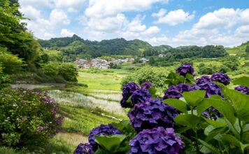 Czy tabata jest dla początkujących?