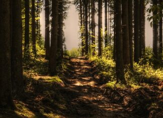 Co grozi za nagrywanie kogoś bez jego zgody?