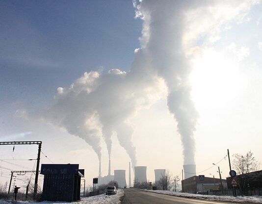 Jakie są branżę w Polsce?