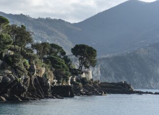 Ile kosztuje ASC Plan lekcji?