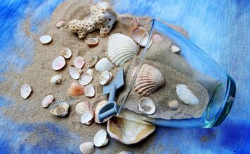 Ile razy w tygodniu zajęcia fitness?