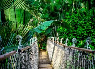 Czy kursy internetowe można zwrócić?