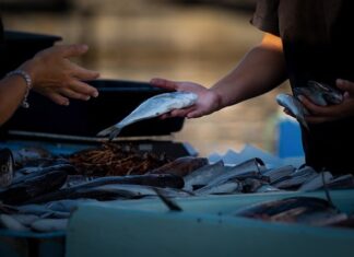 Czy opłaca się sprzedawać na Allegro?