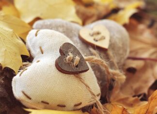 Co spala najwięcej tkanki tłuszczowej?