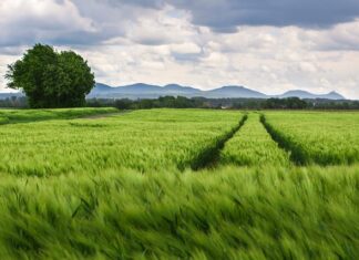 Jaki jest rozstaw śrub?