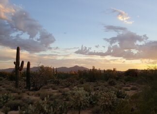 Co to znaczy Tucson?