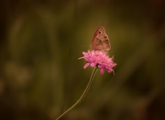 Jak samemu usunąć rdzę z samochodu?
