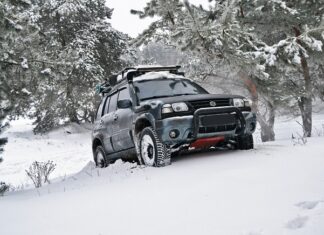 Ile pali Vitara w Gazie?