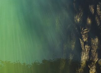 Jak sprawdzić poziom oleju w automatycznej skrzyni biegów Chrysler Grand Voyager?